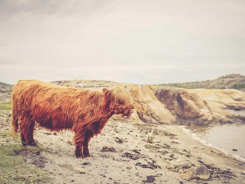 Après intervention — Mise aux normes NF C 15-100