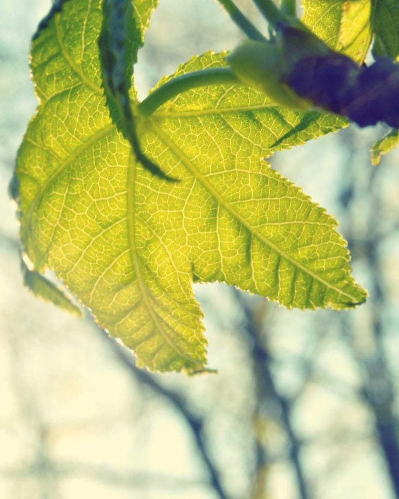 Installation borne de recharge IRVE Wallbox